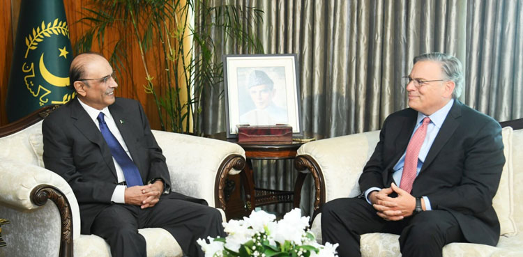 President Asif Zardari, US Ambassador, Pakistan US, Donald Blome