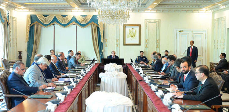 PM Shehbaz, global experts, economic reforms