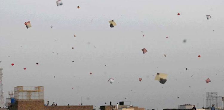 Kite flying ban lhc