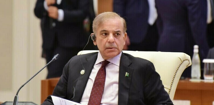 PM Shehbaz Sharif, renewable energy focus, minimize oil imports