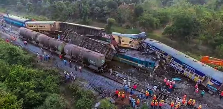 Cricket train crash, Andhra Pradesh, train drivers cricket match