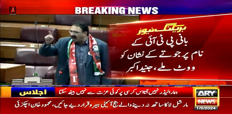 National Assembly, Junaid Akbar PTI, National Assembly speech