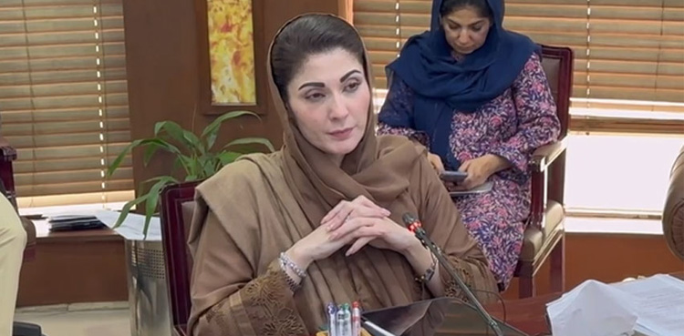 CM Maryam Nawaz, Examination task force , Punjab