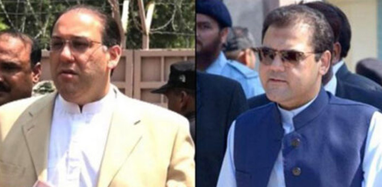 Hassan Nawaz , Hussain Nawaz, returns to Pakistan,