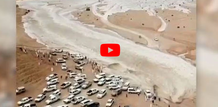 VIRAL: Man's incredible life-saving escape from flash flood