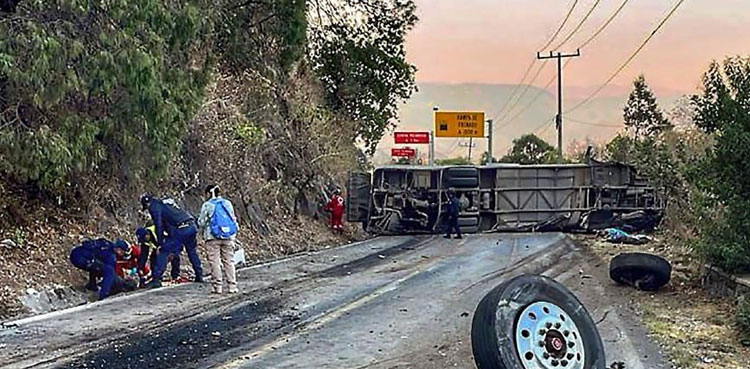 Mexico bus crash leaves 14 dead, 31 injured