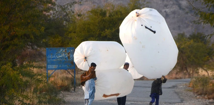 Govt imposes ban on carrying gas in plastic bags