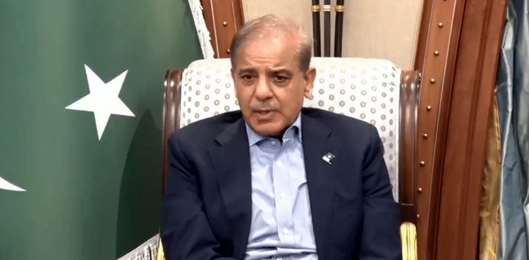 Shehbaz Sharif, steering committee, Saudi Business Delegation visit, Pakistan
