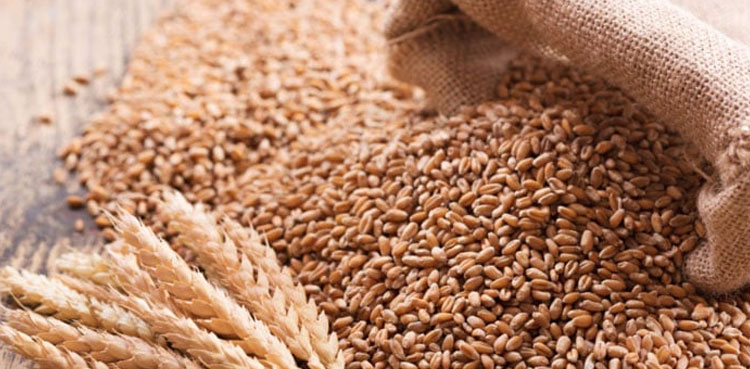 KP CM Ali Amin Gandapur, wheat supply, Kurram