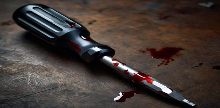Delhi man stabs wife, Man stabs wife her brother wife screwdriver