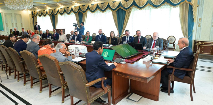 PM Shehbaz, PM Shehbaz UK, PM Shehbaz education