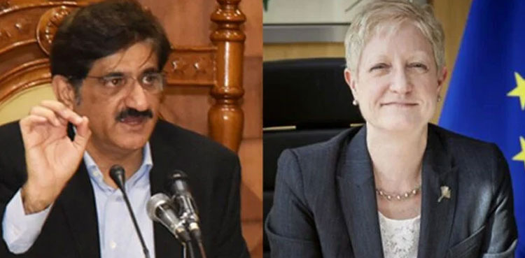 Sindh, Murad Ali Shah, European Union, flood
