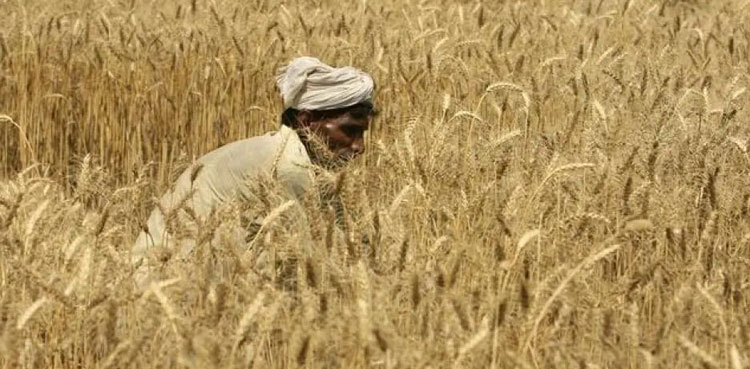 PM relief package, small farmers, Finance Minister