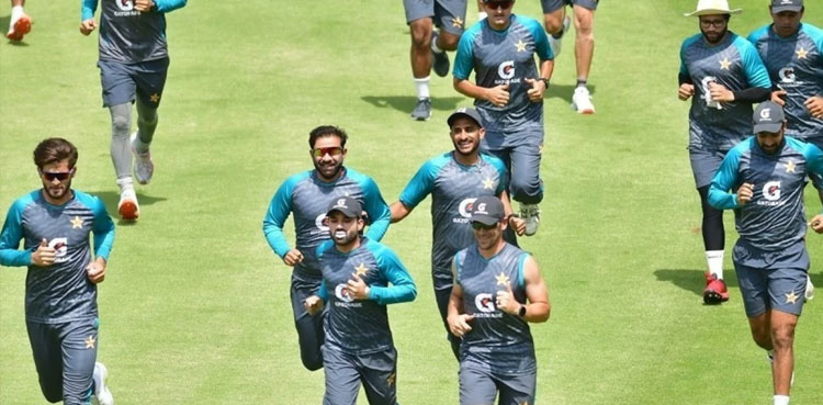 Pakistan squad, Pakistan squad New Zealand T20I