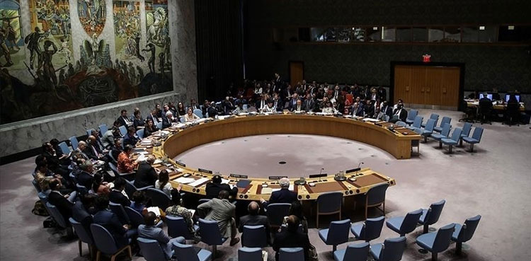 UN Security Council, Pakistan, India, Pahalgam incident