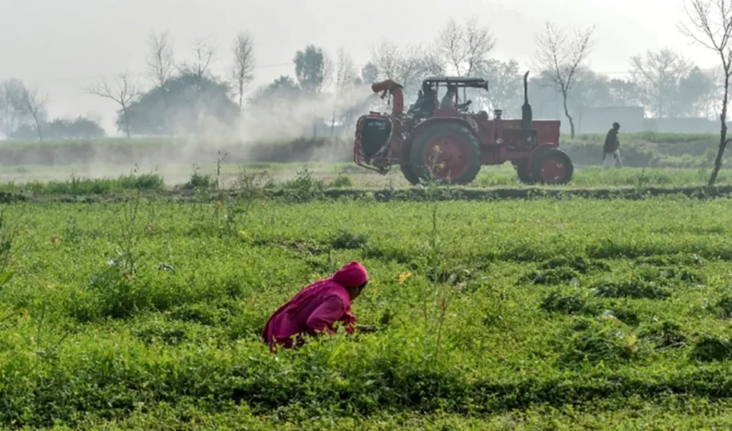 punjab, farmers, Pakistan Kissan Ittehad, protest,