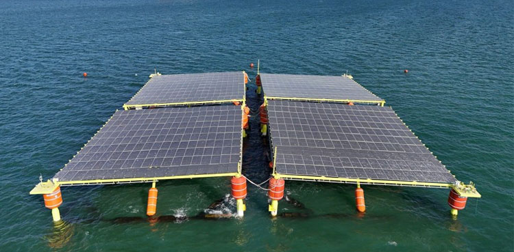 China Solar Panels