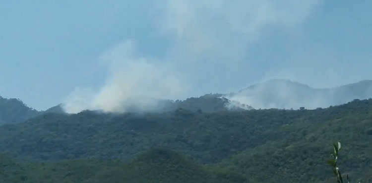 Margalla Hills fire