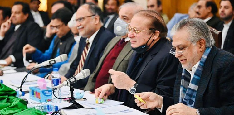 PML-N to pick interim party president on May 18