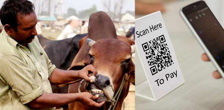Eidul Azha: SBP to introduce QR code payment for sacrificial animals