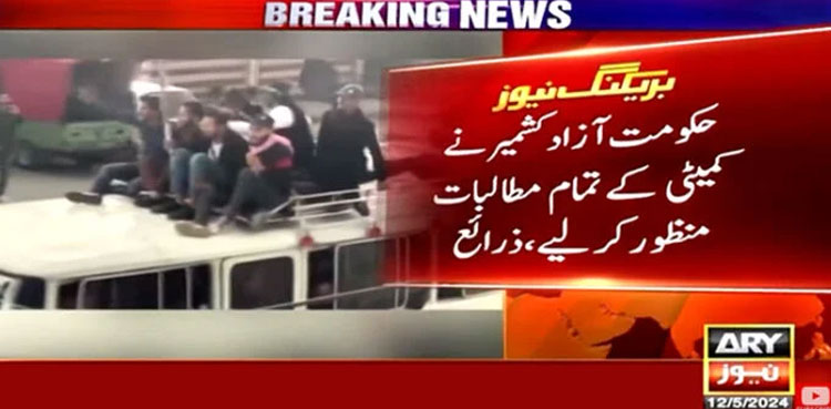 AJK protests, Azad Kashmir, Kashmir action committee