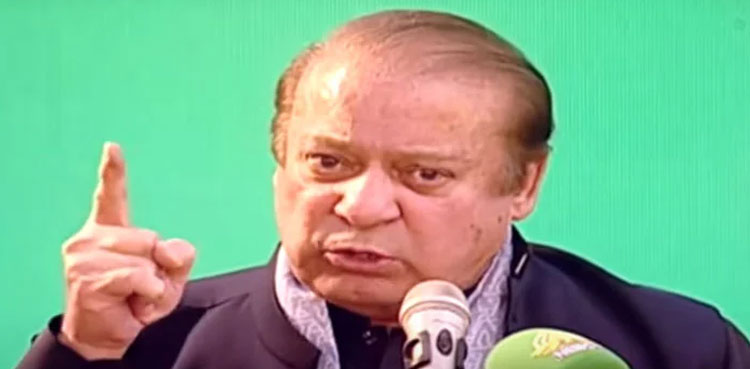 Punjab MPAs, Nawaz Sharif, Maryam Nawaz