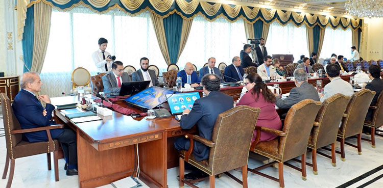 PM Shehbaz, Pakistan IT exports