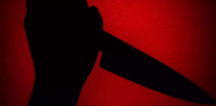 boy kills friend sister, purse
