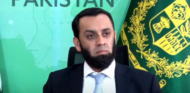 SIFC, foreign investment, Attaullah Tarar