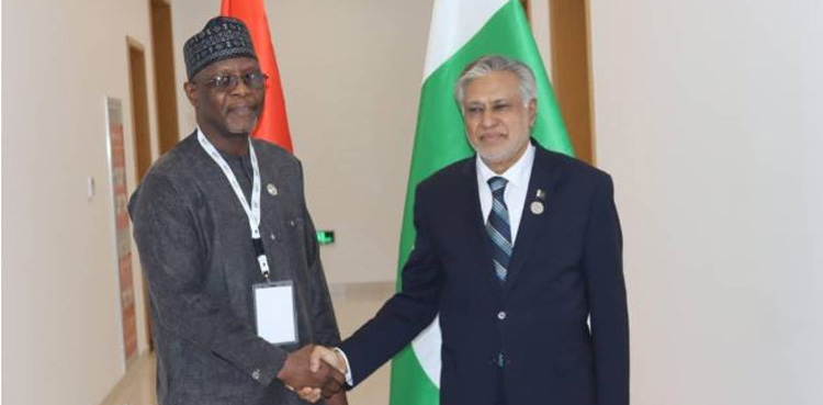 FM Ishaq Dar, Nigeria, bilateral cooperation