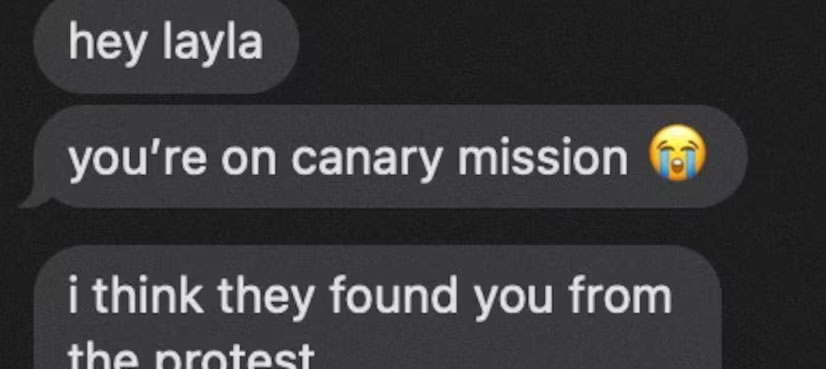 Canary Mission: Israel site targeting Palestine protest students