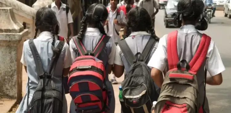 girl, classmates, delhi, lunch box,
