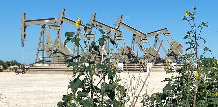 Oil prices up, international market