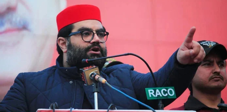 Aimal Wali Khan, PTA Chairman, privilege motion, ANP, Pakistan politics