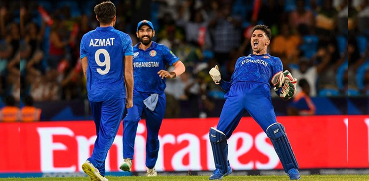 T20 World Cup 2024, Afg vs Aus, Australia, Afghanistan,