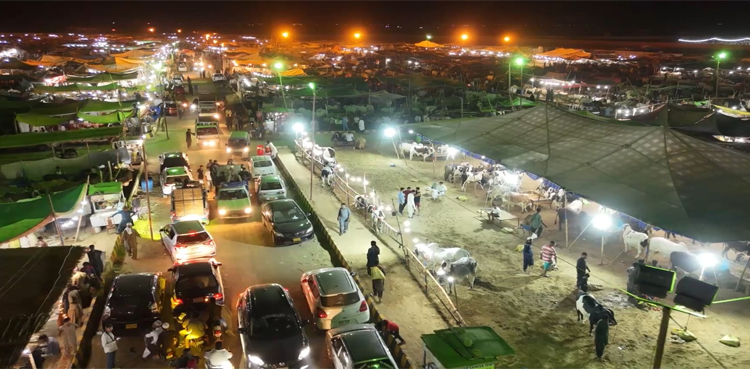 Rescue, hygiene measures, Northern Bypass cattle market
