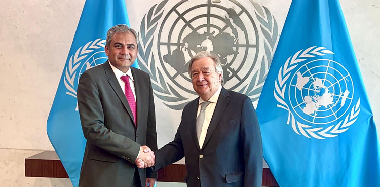 Mohsin Naqvi reaches New York, meets UN chief