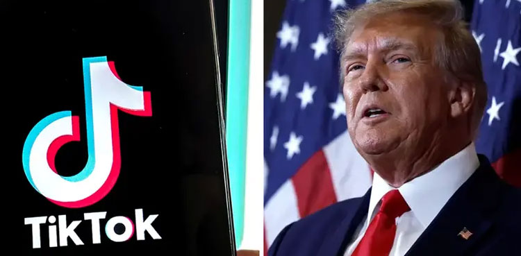 Trump, TikTok US sale, talks four groups