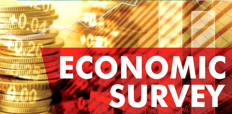 Pakistan, Economic Survey, budget