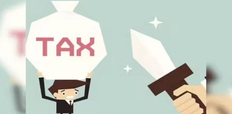 Budget 2024-25, income tax