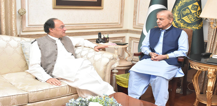 ECNEC PM Shehbaz
