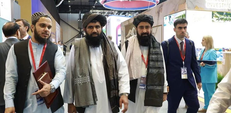 Afghan Taliban, media ban, living things images
