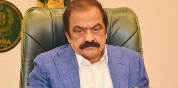 Rana Sanaullah, SC reserved seats verdict