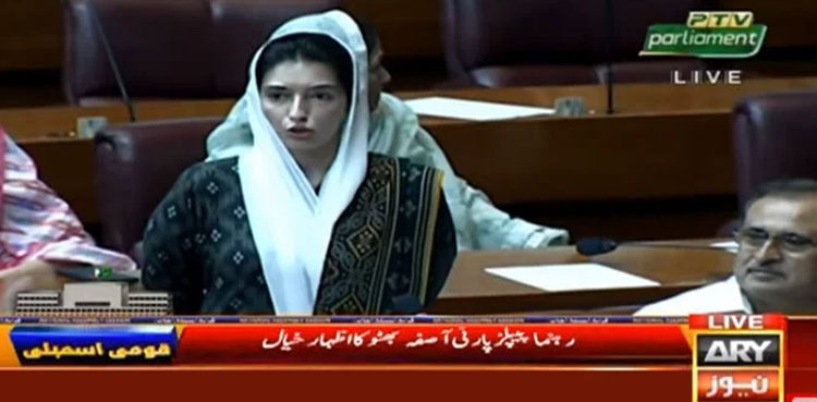 Aseefa Bhutto, Budget 2024