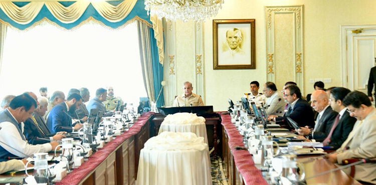 Azm-e-Istehkam, PM Shehbaz