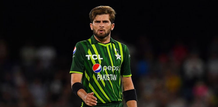 Shaheen Shah Afridi, ICC Player of the Month