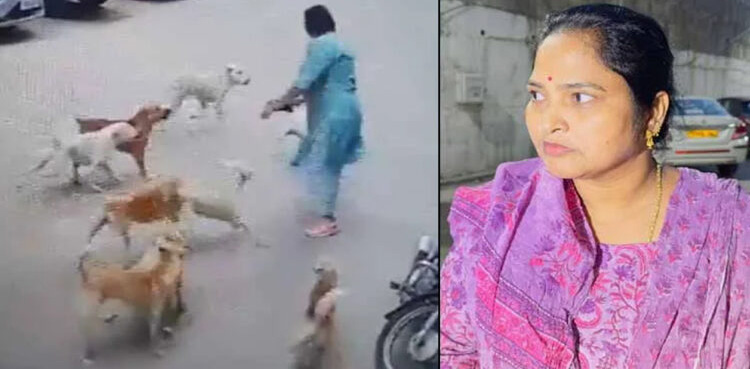 Viral video, Woman narrowly escapes, stray dogs attack,