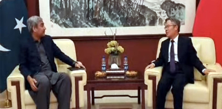 China, Pakistan, Security of Chinese nationals in Pakistan