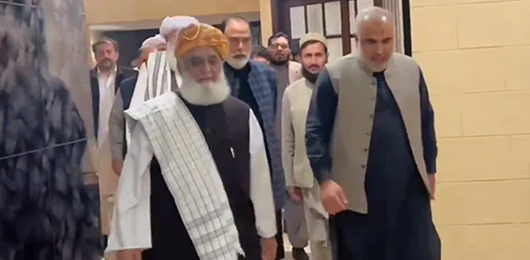 PTI, JUI-F, constitutional amendments