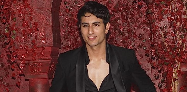 ibrahim ali khan, diler, sreeleela